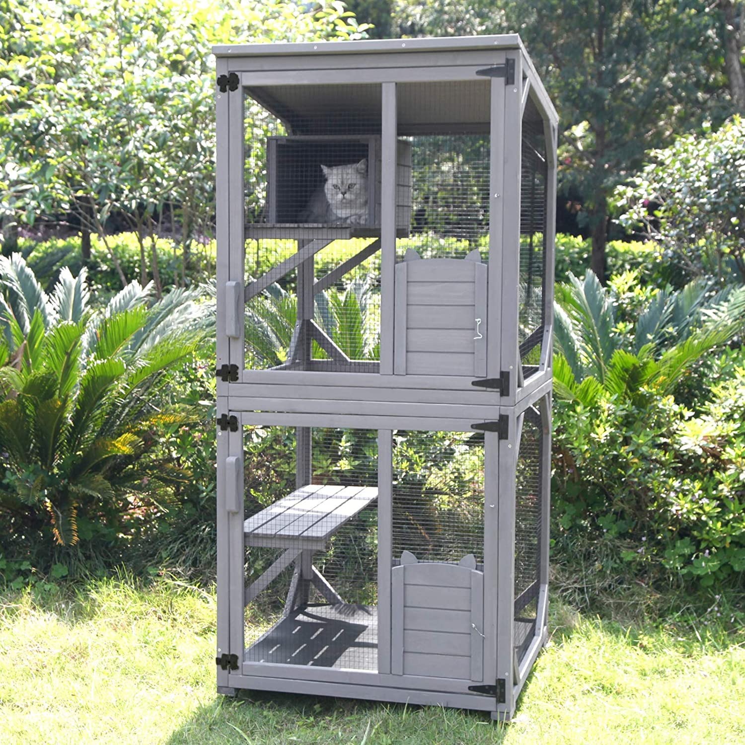 Walk-In Wooden Catio Outdoor Cat Enclosure: image 7